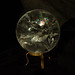 Crystal Whittle Photo 25