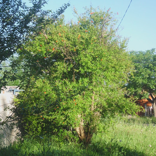 Olga Paz Photo 12