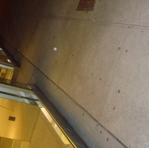 Latoya Horton Photo 9