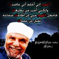Mahmoud Said Photo 7