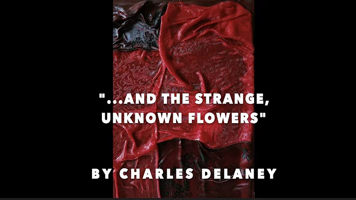 Charles Delaney Photo 27