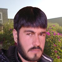 Mohammad Hamid Photo 7