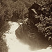 Crystal Mills Photo 38