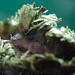 Robert Peinado Photo 16