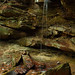 Daniel Rivers Photo 42
