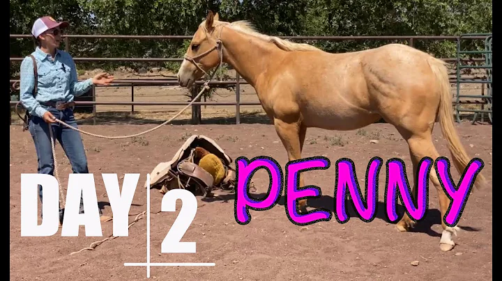 Penny Emery Photo 21