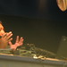 Ron Darling Photo 33