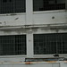 Dixon Brown Photo 16