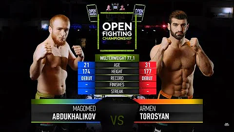 Armen Torosyan Photo 12