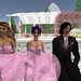 Carl Reisman Photo 15
