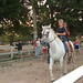 Andrew Hummel Photo 39