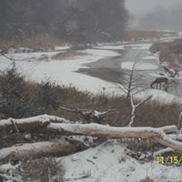 James Brister Photo 3