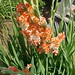 Richard Coker Photo 42