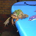 Mark Padden Photo 11