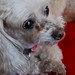 Sally Reno Photo 15