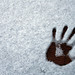 Mark Schnee Photo 18