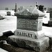 Scott Fairley Photo 28