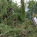 Evelyn Garrison Photo 40
