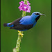 Glenn Costa Photo 23