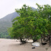 Sai Lau Photo 25