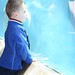 Andrew Seal Photo 30