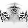 Brahma Sharma Photo 15