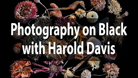 Harold Berkeley Photo 7
