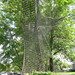 Art Erickson Photo 27
