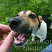 David Russel Photo 37