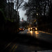Craig Dull Photo 17