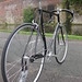 Ellis Reynolds Photo 24