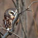 Mark Opp Photo 13