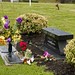 Johnny Jackson Photo 42