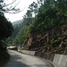 Pik Lau Photo 21