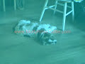 Mollie Tuttle Photo 8
