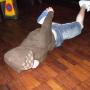 Mark Yeadon Photo 8