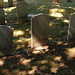 Elizabeth Metz Photo 42