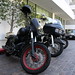 Robert Rossi Photo 45