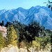 Sandy Dell Photo 31