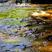 Rusty Brooks Photo 36