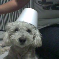 Refugio Gomez Photo 6