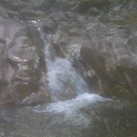 Wade Cox Photo 3