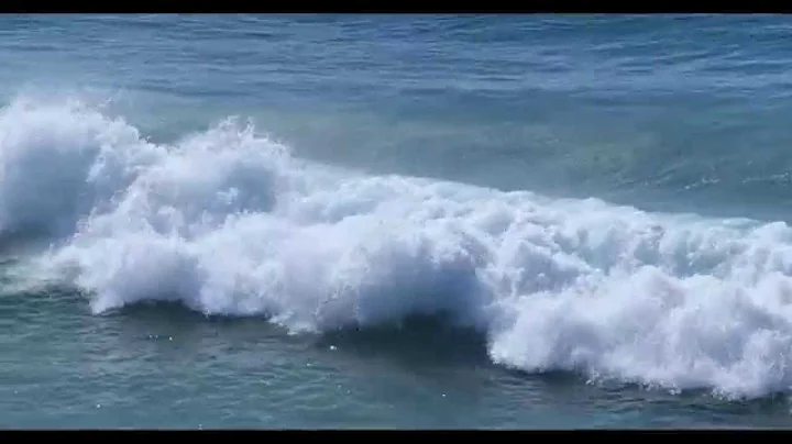 Tamara Ocean Photo 5
