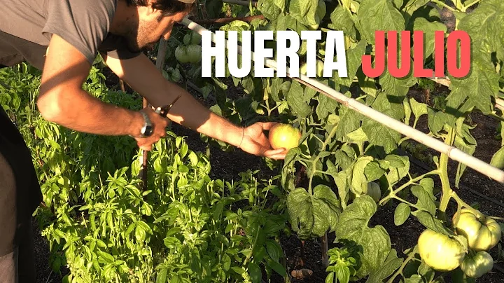 Julio Huerta Photo 26