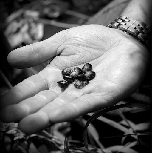 Sean Brock Photo 10