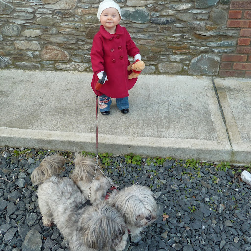Michelle Caffrey Photo 9