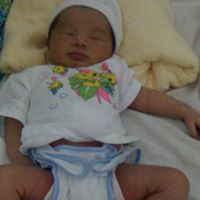 Nguyen Quan Photo 5