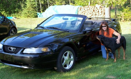Vicki Johnson Photo 20