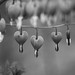 Andrea Herz Photo 22