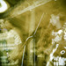 Erik Goodrich Photo 34